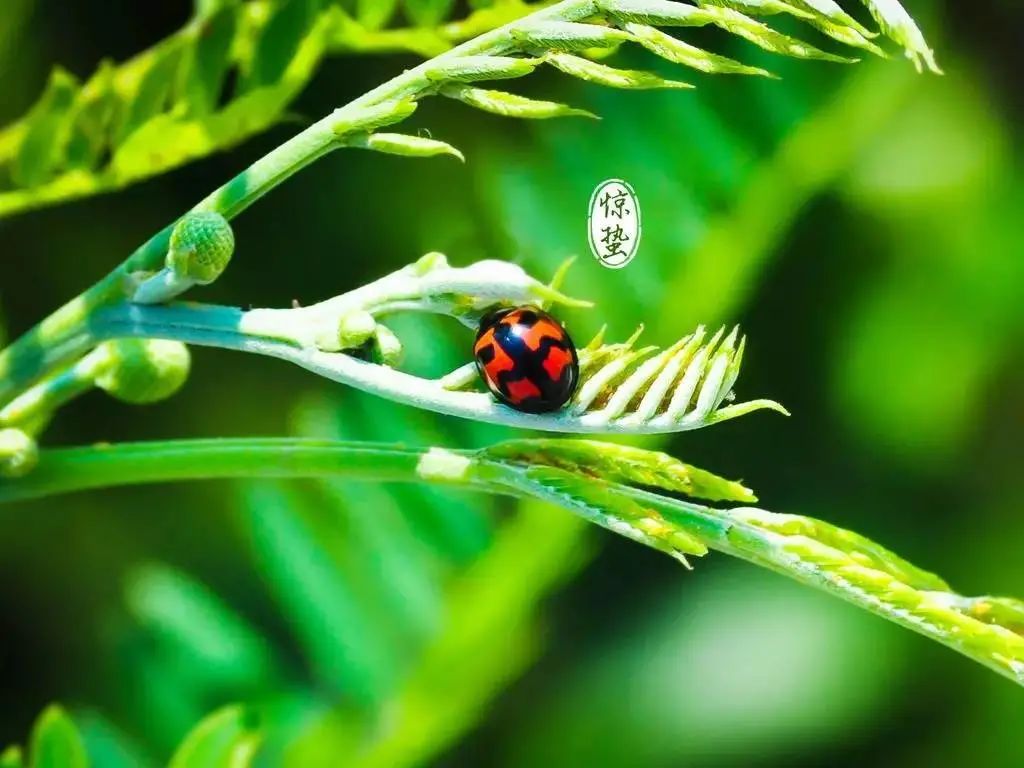 src=http___pic2.zhimg.com_v2-f8503734907e0d480f015e0e99ca6e1d_1440w.jpg_source=172ae18b&refer=http___pic2.zhimg.jpg