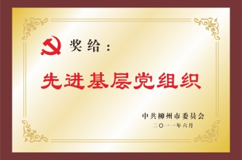 2011年先进基层党组织