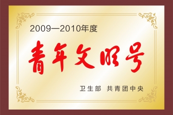 2009-2010年度青年文明号