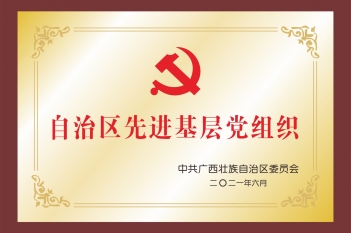 2021年自治区先进基层党组织