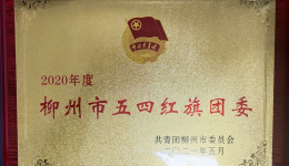 【党建带团建】柳州市工人医院：党建带团建 凝聚“青”力量 推动医院高质量发展
