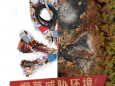 【世界无烟日】我院联合柳北区钢城街道开展义诊活动