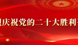 习近平参加党的二十大广西代表团讨论