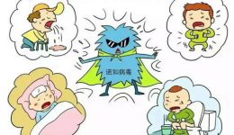 工医科普 | 诺如病毒已进入高发期！和新冠病毒要区分！