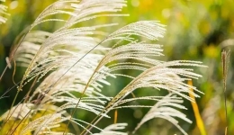 立秋养生，听听专家怎么说……