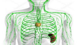 工医科普 | 放疗——让淋巴瘤不“瘤”余地！
