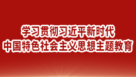 学习贯彻习近平新时代中国特色社会主义思想主题教育