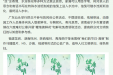 移风易俗过清明 文明祭扫树新风