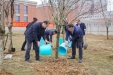 杏林播新绿 | 柳州市工人医院开展植树节活动