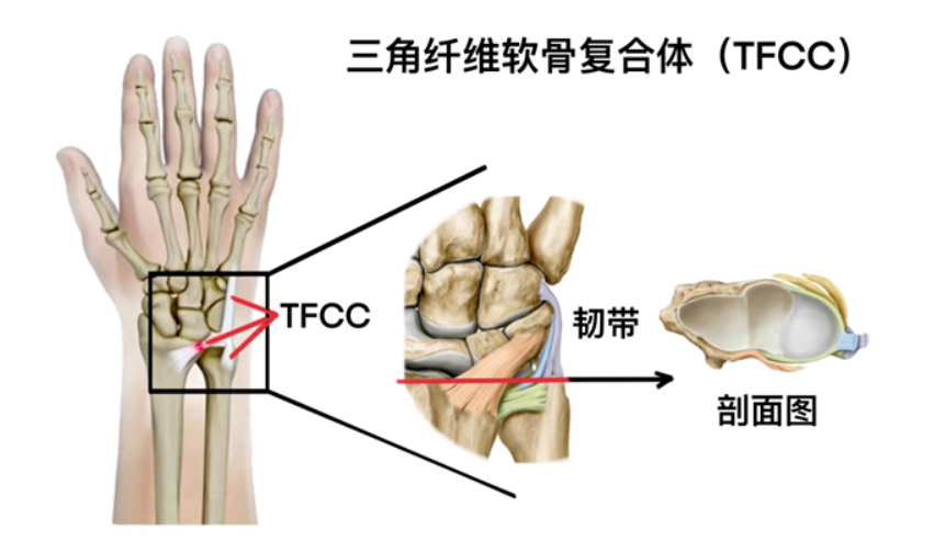 企业微信截图_17458228879357.png