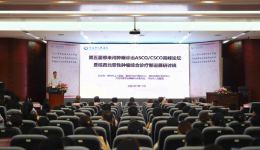 协同发展，共谱新篇--《第五届柳来河肿瘤诊治高峰论坛暨桂西北恶性肿瘤综合诊疗新进展研讨班》圆满召开