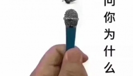 科普 | 天气炎热，一大波蚊子来袭！专家：小心登革热