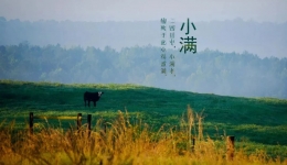 【中医养生】小满节气，心烦按按内关穴