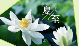 【中医养生】夏至 ，愿所有美好如约而至！
