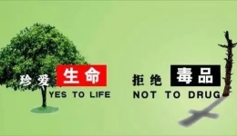 禁毒防艾 行动起来