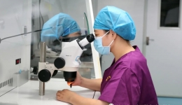【带你了解试管婴儿】精子与卵子相亲前准备——捡卵