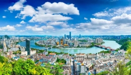 紫荆花开，扬帆逐梦——柳州这家国家级住培基地等你来，赏花逐梦！