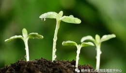 春天的故事 | 柳州市工人医院生殖医学科好“孕”频传