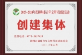 柳州市工人医院肿瘤诊疗中心获评青年文明号创建集体