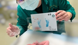 沾喜气！“龙宝宝”来了！