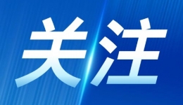 将两种传染病纳入乙类法定传染病管理，主要考虑是什么？今年我国重点蚊媒传染病的防控形势如何？公众如何做好个人防护？权威解答来了→