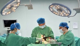 十年磨一剑 | 柳州市工人医院从广西首例脑起搏器到桂中首例脑机接口的突破历程……